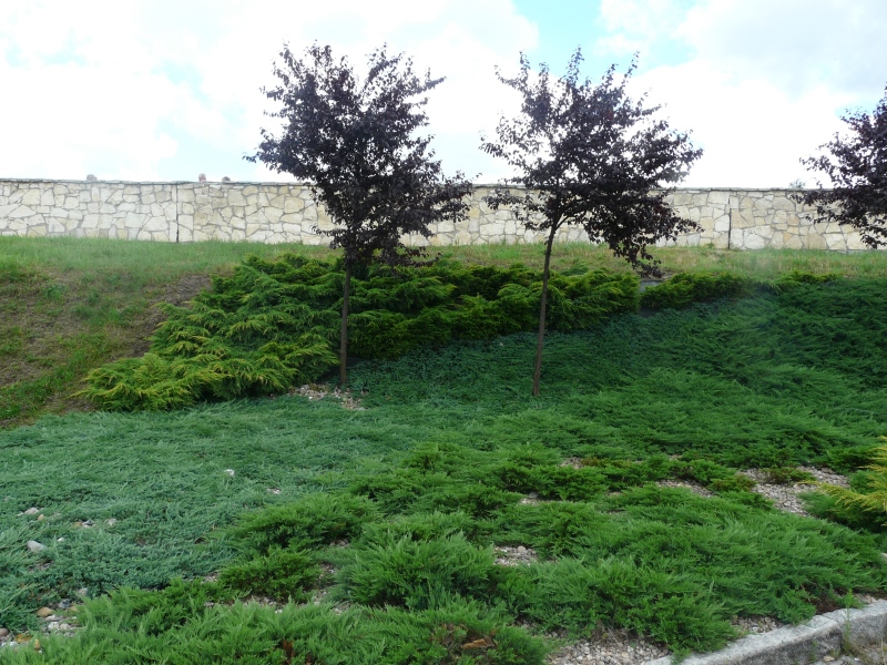 Skwery w Lędzinach