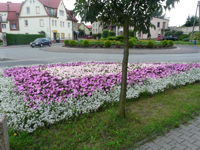 Skwery w Lędzinach