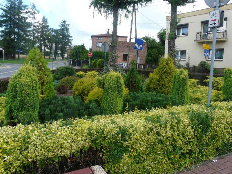 Skwery w Lędzinach