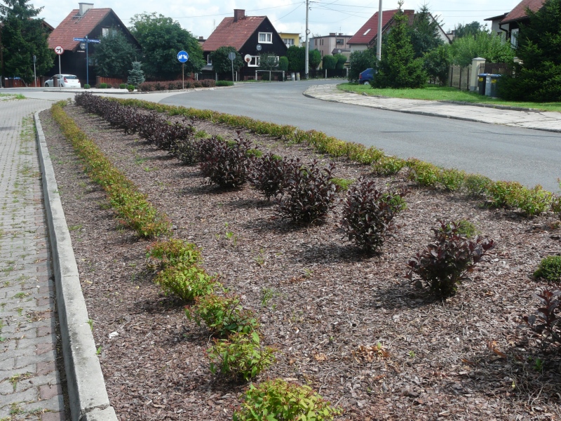 Skwery w Lędzinach