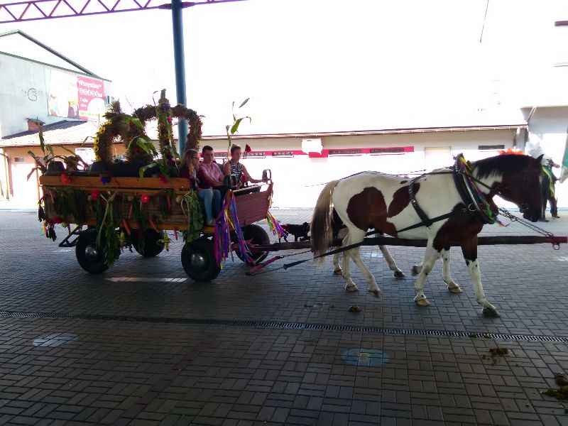 dożynki 2016