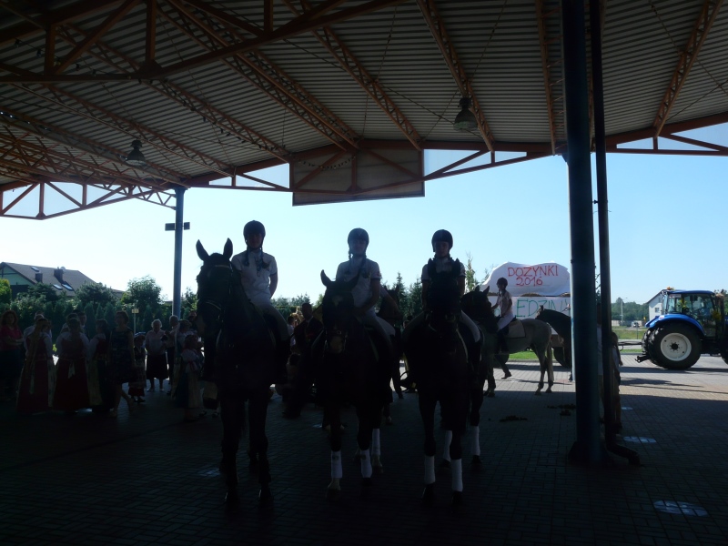 dożynki 2016