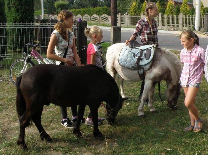Piknik/Dożynki- Smardzowice 2016