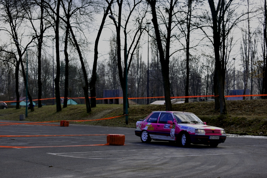 Wyścigi samochodowe - 2017