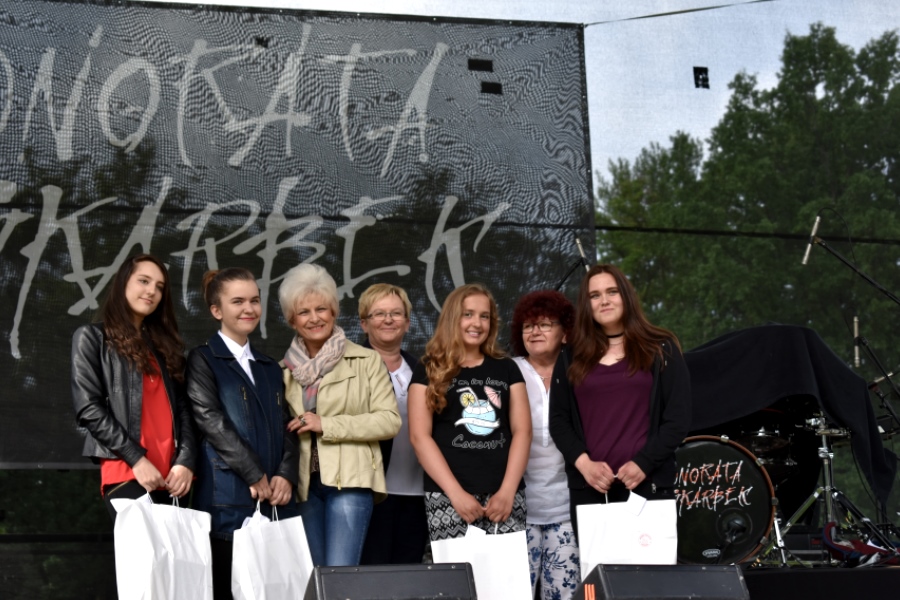 Dni Lędzin 2017