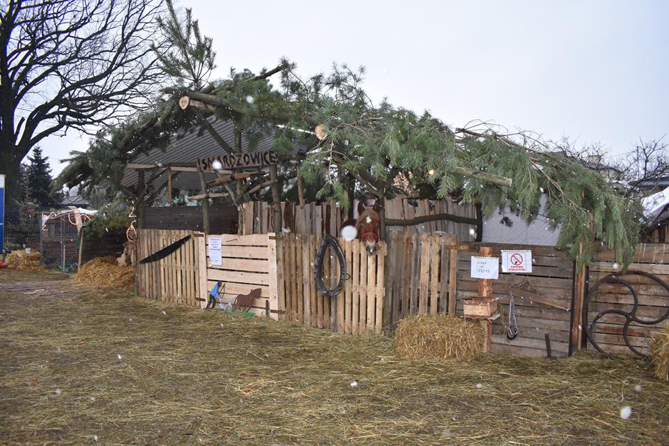 Żywa Szopka Bożonarodzeniowa