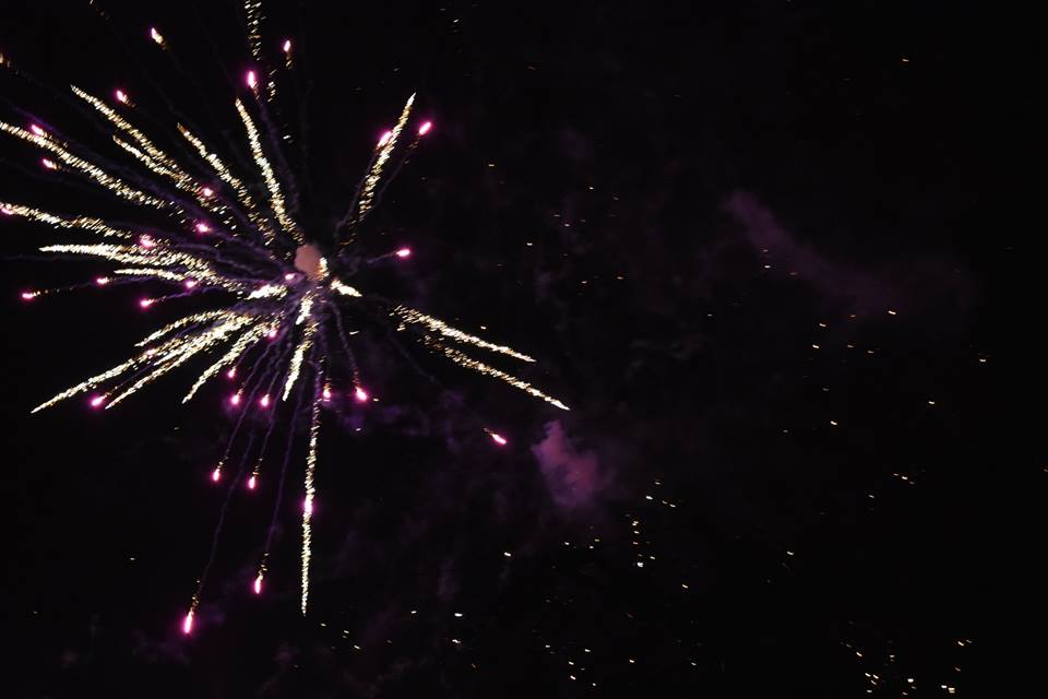 Wielka Orkiestra Świątecznej Pomocy 2018 r. w Lędzinach 