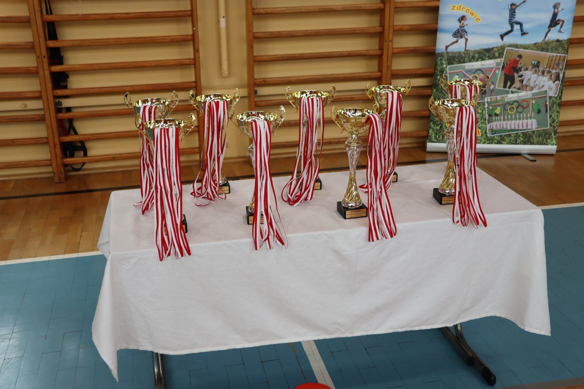VIII Olimpiada Pierwszaka
